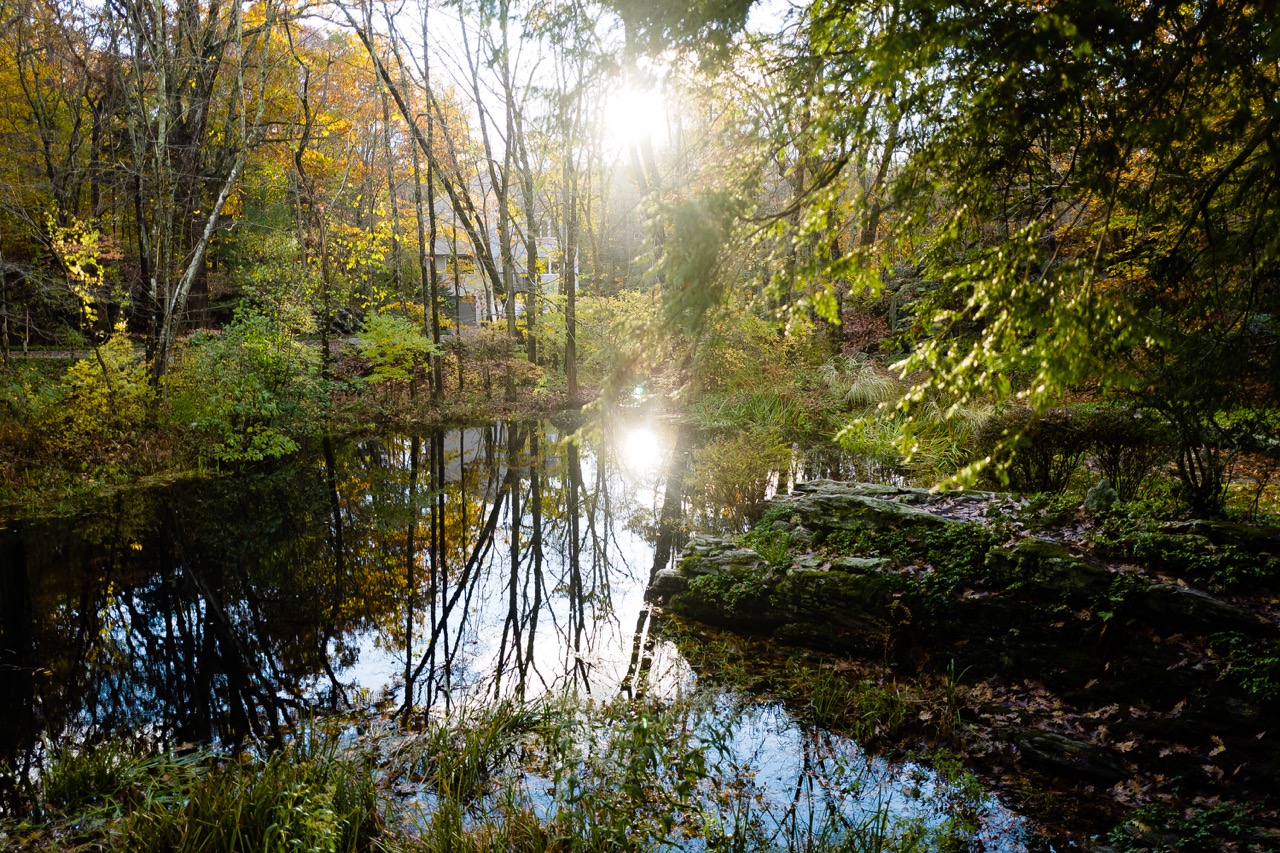 Property View (Early Fall)