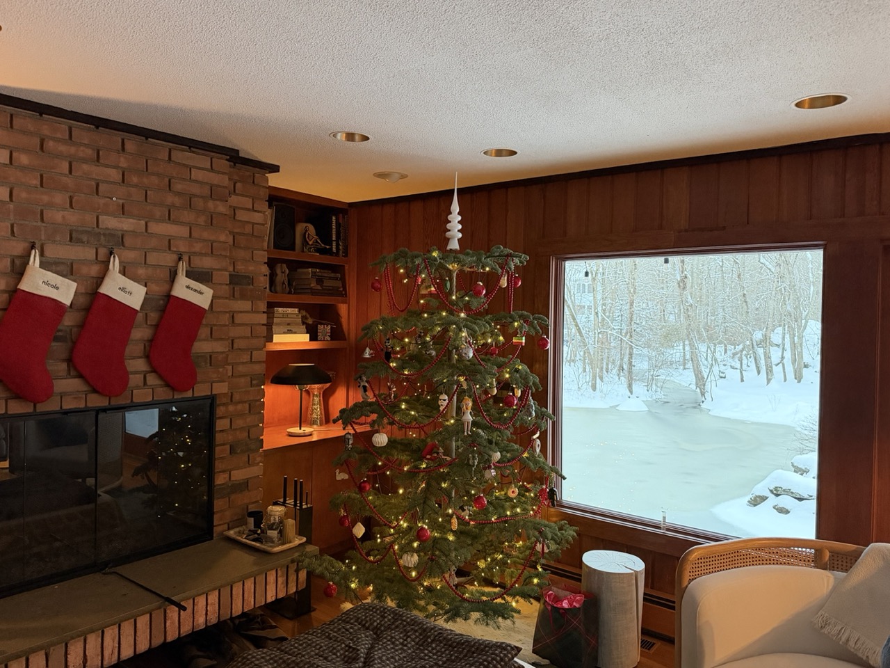 Christmas (California Silvertip Tree)